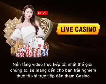 Trải nghiệm đá gà trực tiếp chất lượng cao