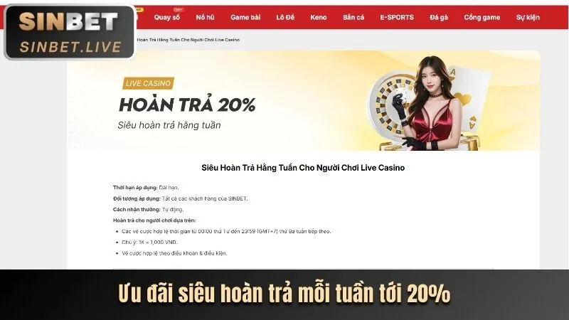 Các cấp độ VIP của vz88 win